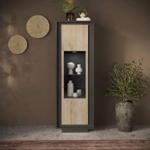 Vista ambientata Vetrina in legno con 1 anta con vetro colore "lava/rovere cadiz" made in italy modello Avalon Totò Piccinni