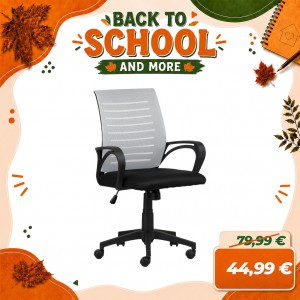 Sedia Poltrona Ufficio ASTRA con Braccioli, Girevole 360°, Altezza Regolabile, Ergonomica (Grigio)