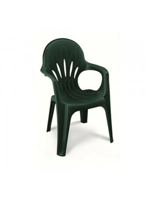 Scab Sedia Poltrona Stella di Mare con braccioli monoblocco in Resina Impilabile MADE IN ITALY (Verde)