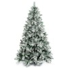 Foto di un albero di natale realistico innevato verde e bianco con pigne gardena xone