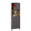 Colonna multiuso in legno colore "Rovere Miele/Grigio Laccato" 2 ante e 2 vani modello Lumen Totò Piccinni