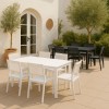 Set Pranzo Tavolo Allungabile in Alluminio 160/240 con 6 sedie senza braccioli modello Linosa Totò Piccinni