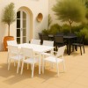 set pranzo tavolo allungabili 160/240 in alluminio con 6 sedie con braccioli modello Linosa Totò Piccinni