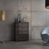 Vista ambientata Cassettiera 4 cassetti in legno colore Olmo Jarez/Grigio Laccato modello Alma Totò Piccinni