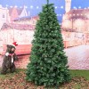 Foto reale e ambientata di un albero stretto verde folto Royal Slim Xone