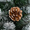 dettaglio Noel Totò Piccinni