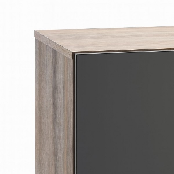 Dettaglio Madia moderna colore "Grigio Scuro Laccato/Noce Brera" con 2 ante 2 cassetti e 1 vano modello Celestia Totò Piccinni