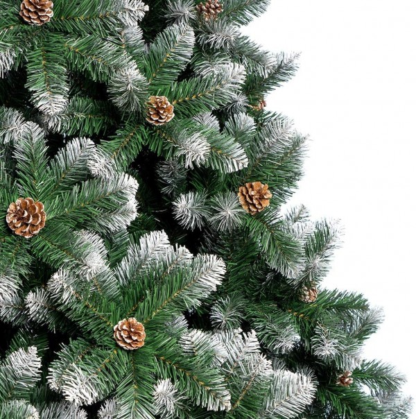 dettaglio Noel Totò Piccinni
